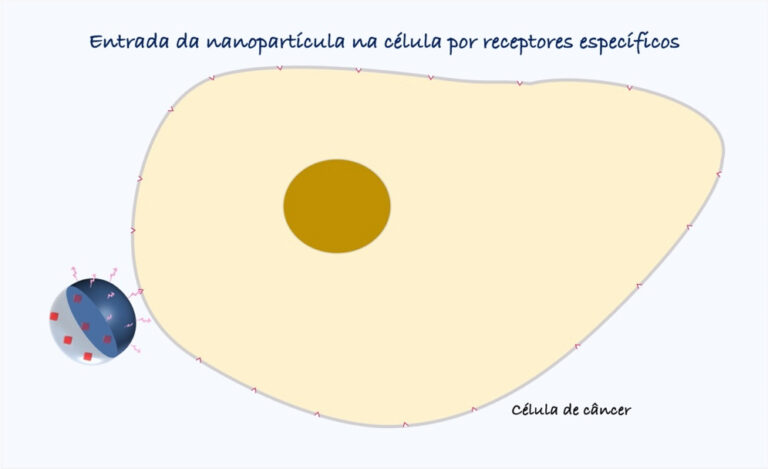 Entrada da nanopartícula na célula